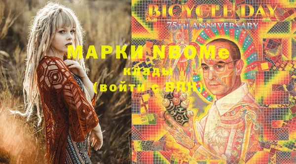 индика Волосово
