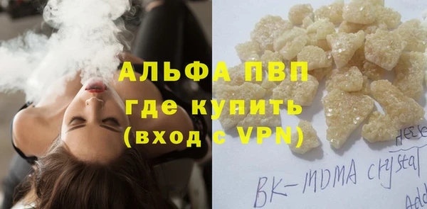 индика Волосово