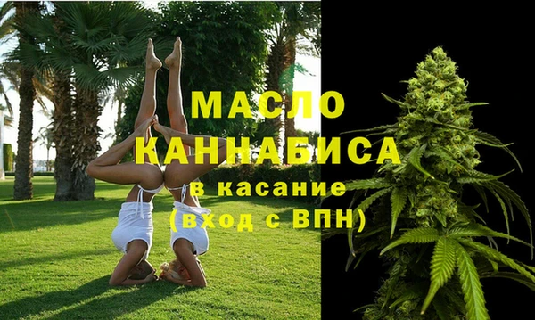 индика Волосово