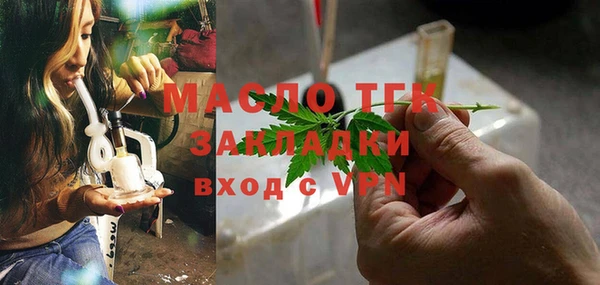 индика Волосово