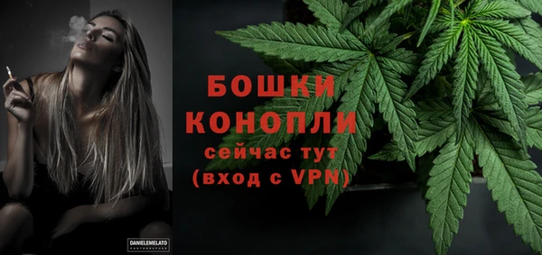 индика Волосово