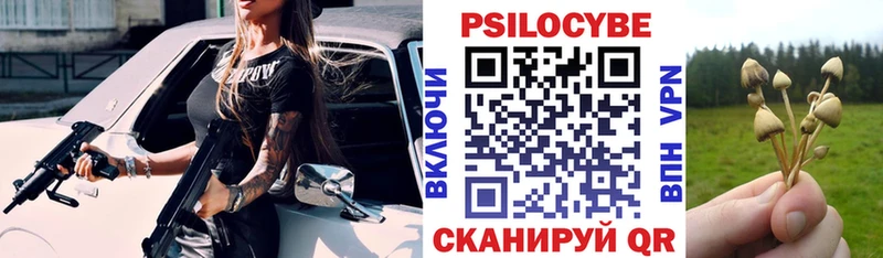 кракен ссылки Дмитриев Галлюциногенные грибы ЛСД